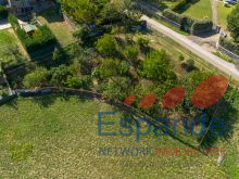 20260913-DJI_0970