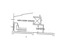 Planimetria cantina