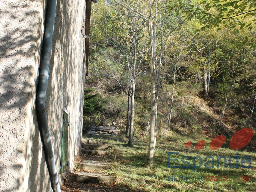 Foto annuncio