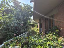 giardino4