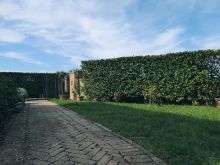Cesena porzione di bifamigliare esterni (20)