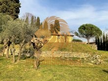 Vista d'insieme giardino