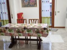 WhatsApp Image 2026-03-20 at 16 18 36