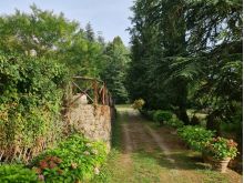 IMG-20250907-WA0054(1)