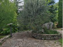 IMG-20250907-WA0057(1)