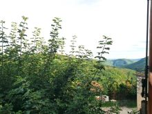 IMG-20250907-WA0015