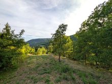 IMG-20250907-WA0075