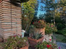 WhatsApp Image 2025-09-19 at 19 58 47 (1)