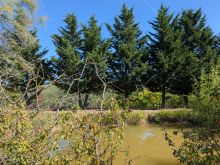 PXL_20250920_100351673