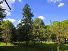22 parco
