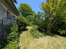 PXL_20250620_123245434