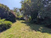 PXL_20250620_123349217