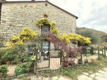 WhatsApp Image 2025-11-14 at 17 28 59 (1)