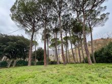 WhatsApp Image 2025-12-10 at 11 47 20 (1)