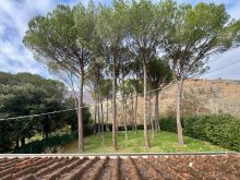 WhatsApp Image 2025-12-10 at 11 47 23