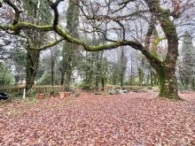 WhatsApp Image 2025-12-17 at 16 48 00 (25)