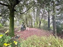 WhatsApp Image 2025-12-17 at 16 48 00 (27)