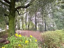 WhatsApp Image 2025-12-17 at 16 48 00 (28)