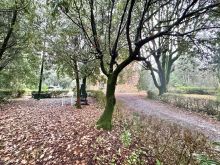 WhatsApp Image 2025-12-17 at 16 48 00 (29)