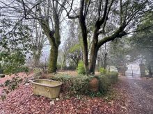 WhatsApp Image 2025-12-17 at 16 48 00 (31)