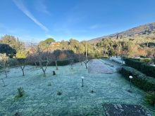 WhatsApp Image 2026-01-23 at 18 25 36