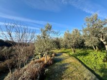 WhatsApp Image 2026-01-23 at 18 25 39 (1)