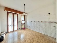 WhatsApp Image 2026-02-06 at 11 17 43 (15)