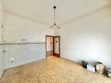 WhatsApp Image 2026-02-06 at 11 17 43 (19)