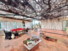 WhatsApp Image 2026-02-10 at 15 34 50 (16)