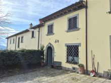 WhatsApp Image 2026-02-12 at 22 24 12 (1)