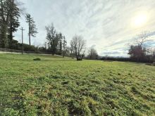 WhatsApp Image 2026-02-12 at 22 24 29 (2)