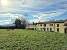 WhatsApp Image 2026-02-12 at 22 24 28