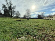 WhatsApp Image 2026-02-12 at 22 24 29