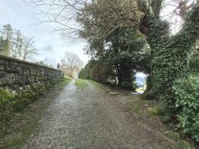 WhatsApp Image 2026-02-12 at 22 24 30