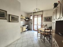 WhatsApp Image 2026-02-13 at 15 27 51