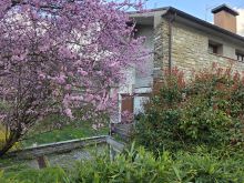 Villa con ampio parco san Piero in Bagno vista dettaglio