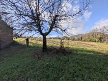 mercato saraceno colonnata castello (23)