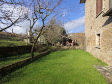 Giardino rurale sotto il cielo azzurro