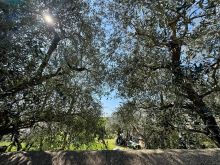 WhatsApp Image 2026-03-25 at 11 07 45 (17)