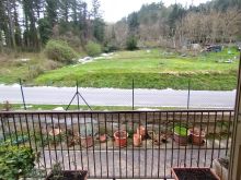 Appartamento Premilcuore (23)