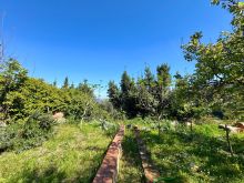 WhatsApp Image 2026-04-09 at 16 51 48 (3)