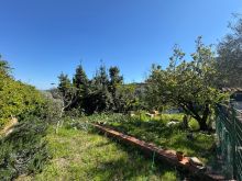 WhatsApp Image 2026-04-09 at 16 51 48 (4)