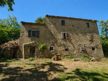 Fronte