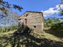 CASALE  (2)