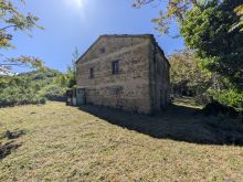 CASALE  (4)