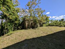 CASALE  (5)
