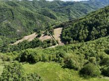CASALE (10)