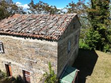 casale 11