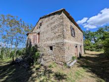 casale12