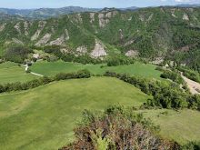 panorama (4)